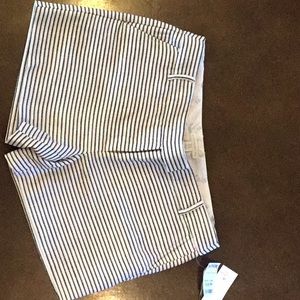 Black and Ivory Shorts